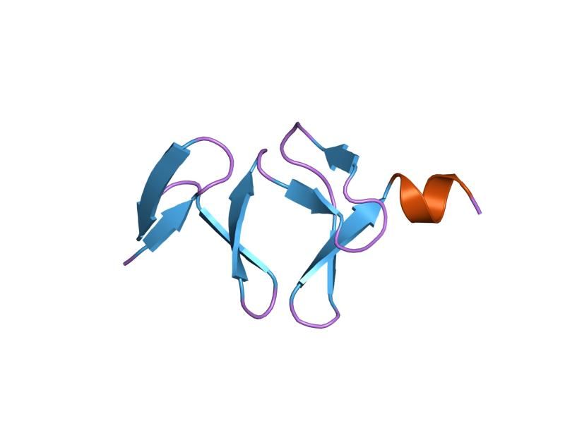 File:PDB 1qli EBI.jpg