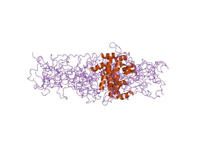 File:PDB 1r5s EBI.jpg