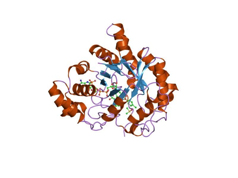 File:PDB 1s2a EBI.jpg