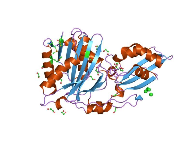 File:PDB 1vqz EBI.jpg