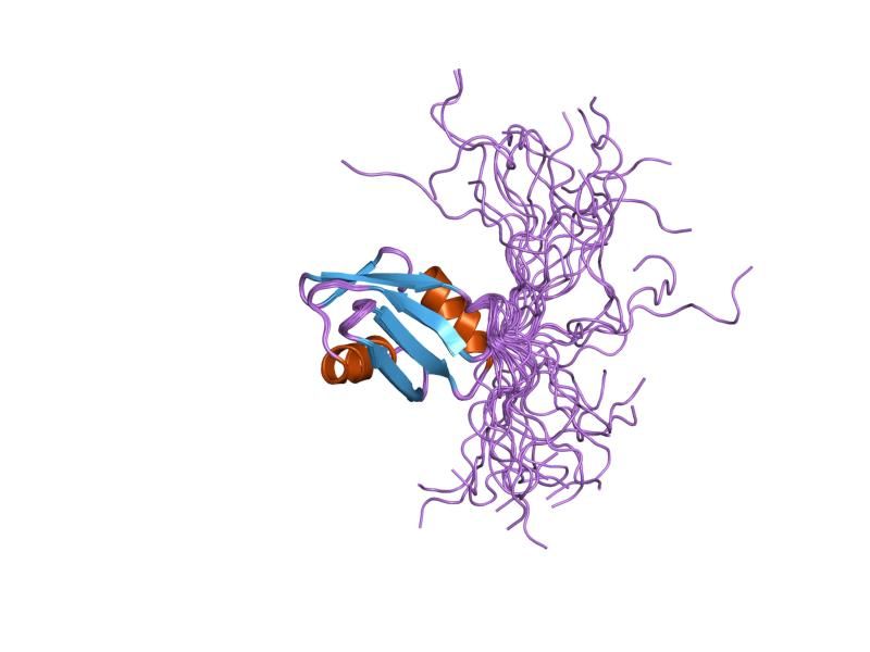 File:PDB 1x5p EBI.jpg