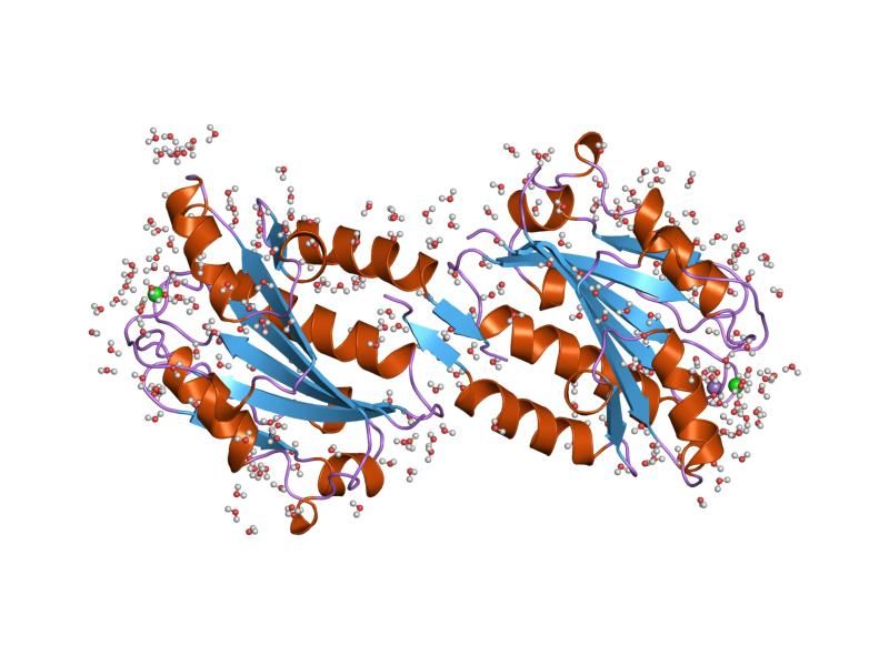 File:PDB 1zop EBI.jpg