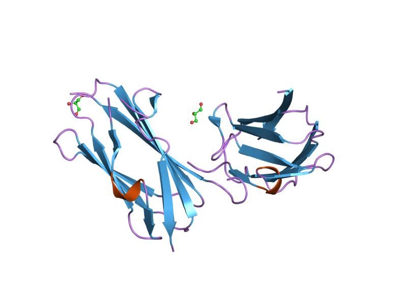 File:PDB 2bp3 EBI.jpg