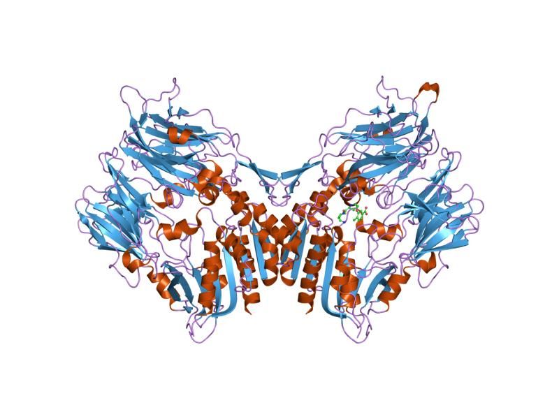 File:PDB 2g5t EBI.jpg