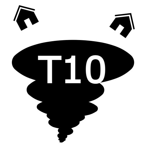 File:Torro10 icon.png