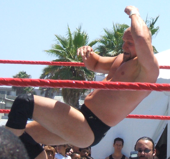 File:Val Venis elbow drop 2007.png