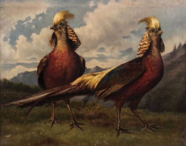 File:Bertha Müller - Golden Pheasants.jpg