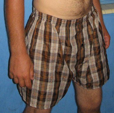 File:BoxerShorts-20070901.jpg