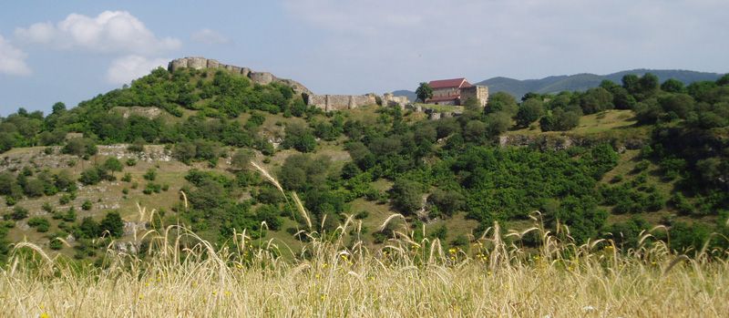 File:Dmanisi.jpg