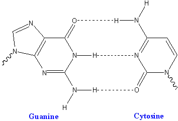 File:GC Watson Crick basepair.png