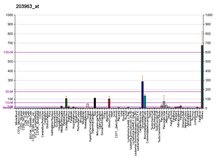 File:PBB GE CA12 203963 at fs.png