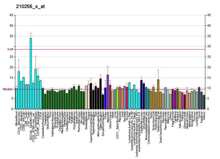 File:PBB GE PIP5K1A 210256 s at fs.png