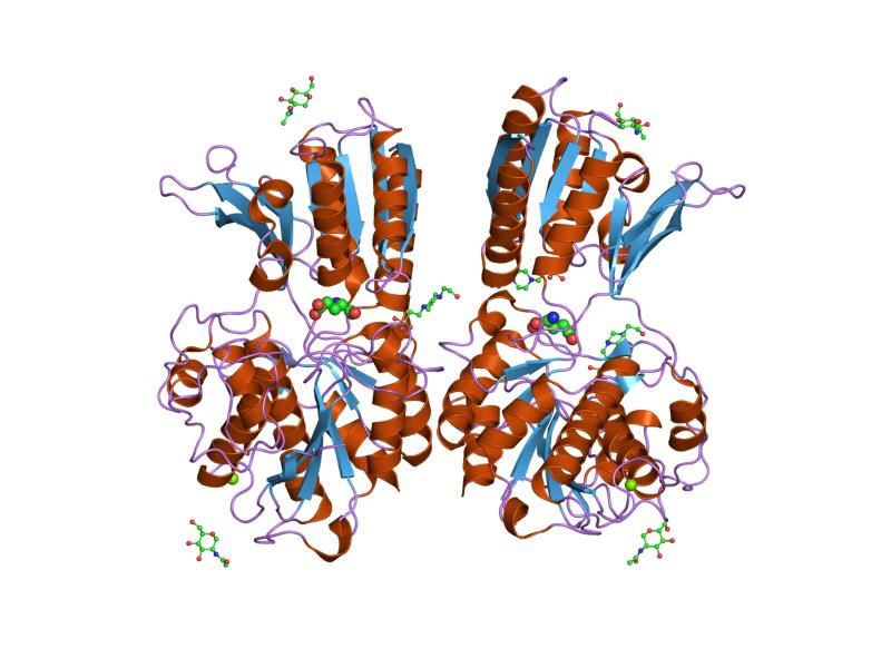 File:PDB 1ewk EBI.jpg