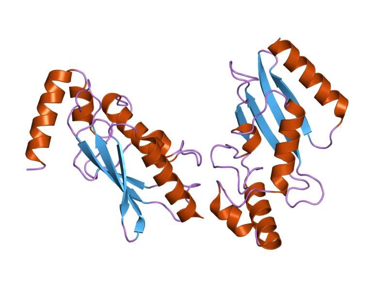 File:PDB 1i7k EBI.jpg