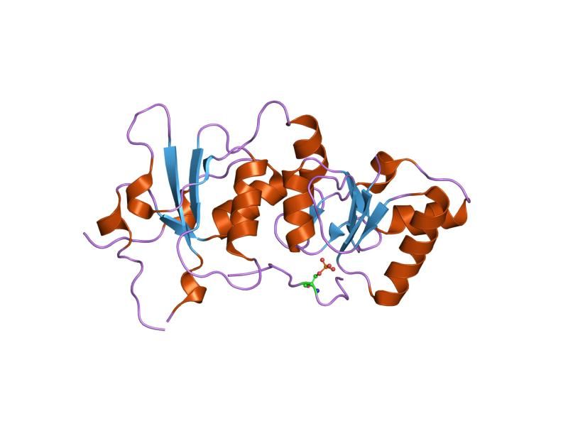 File:PDB 1t29 EBI.jpg