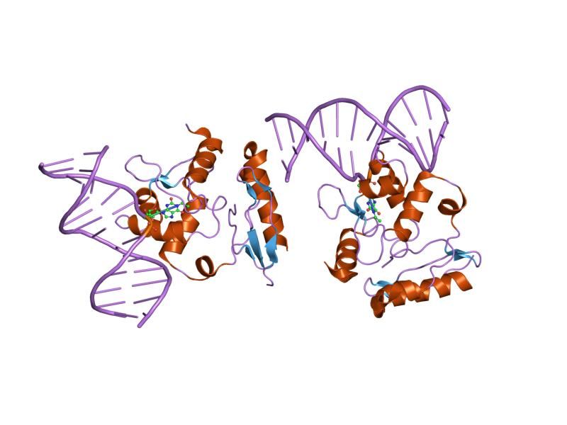 File:PDB 1t39 EBI.jpg