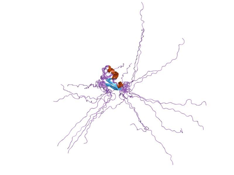 File:PDB 1ub1 EBI.jpg