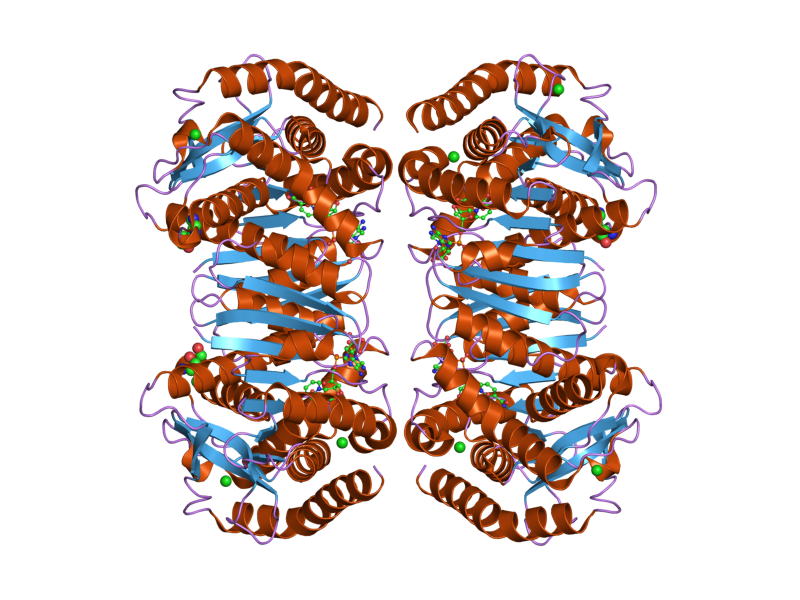 File:PDB 2dfd EBI.png