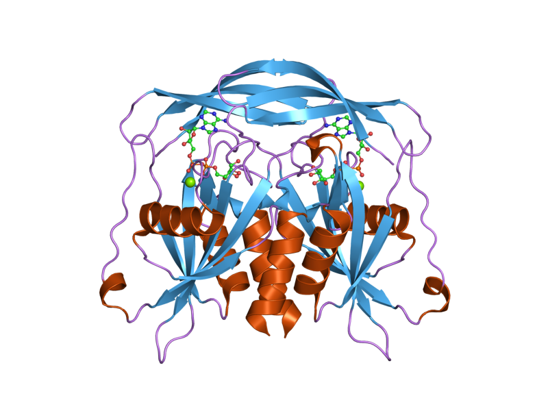 File:PDB 2dsc EBI.png