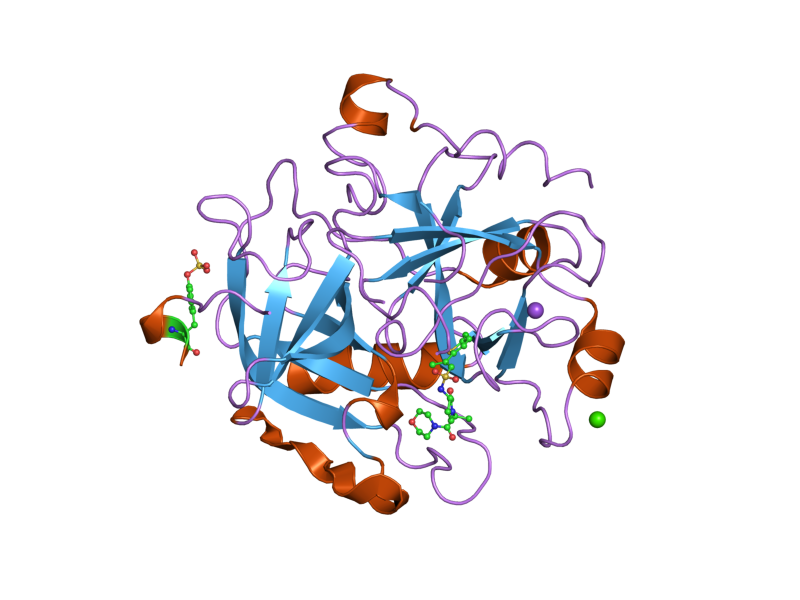 File:PDB 2jh0 EBI.png