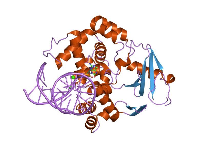 File:PDB 2noe EBI.jpg