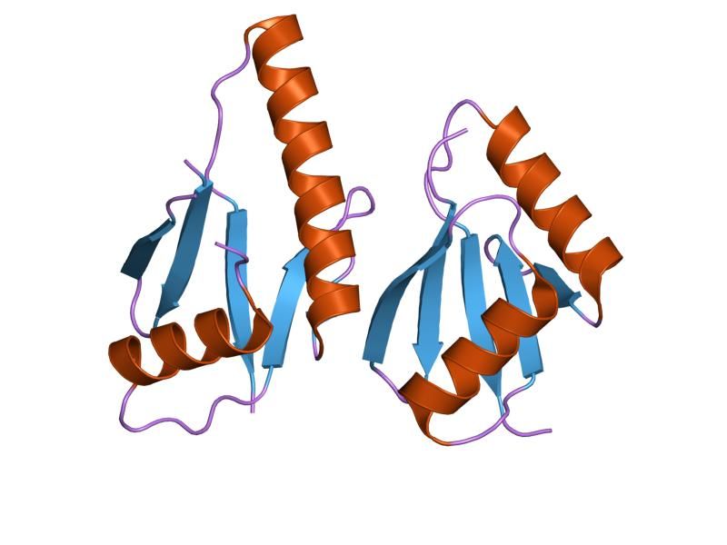 File:PDB 2o2v EBI.jpg