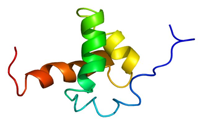 File:Protein NCOR2 PDB 1xc5.png