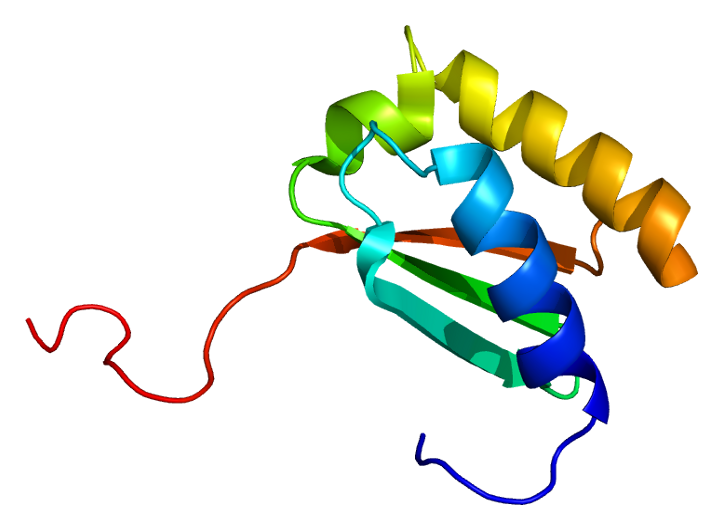 File:Protein RPS3 PDB 1wh9.png