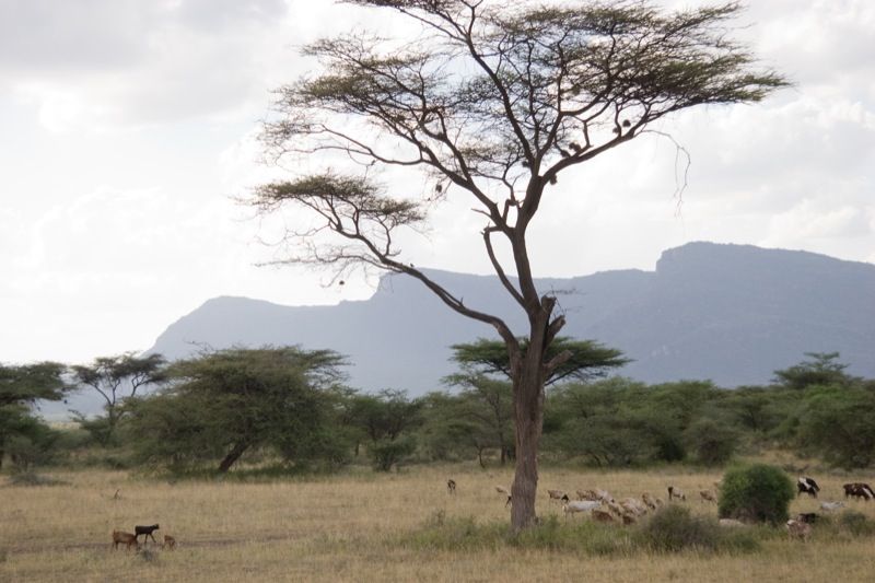 File:Shaba reserve Kenya mountains.jpg