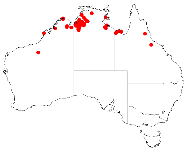 File:Acacia setuliferaDistMap813.png