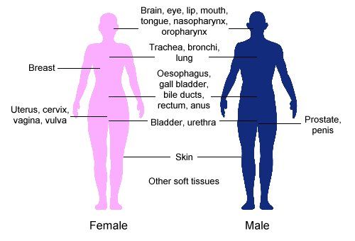 File:Clinical applications of brachytherapy.jpg