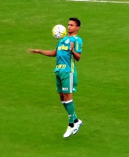 File:Erik-palmeiras-2016.jpg