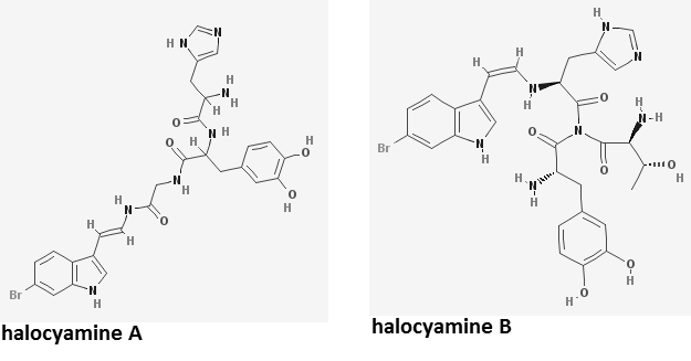 File:Halocyamine A&B.png