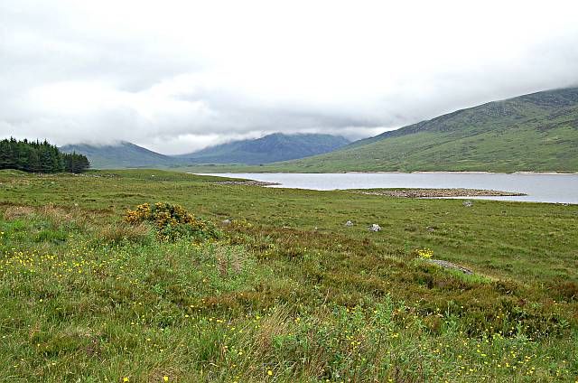 File:Loch Glascarnoch - geograph.org.uk - 196095.jpg