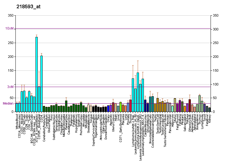 File:PBB GE RBM28 218593 at fs.png