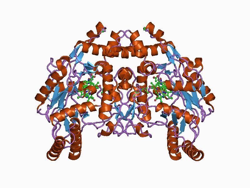 File:PDB 1d1x EBI.jpg