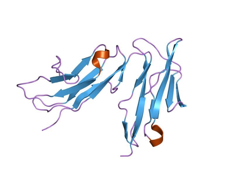 File:PDB 1e4j EBI.jpg