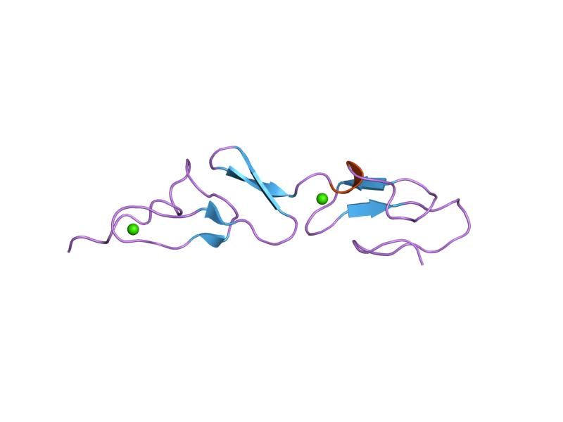 File:PDB 1emn EBI.jpg