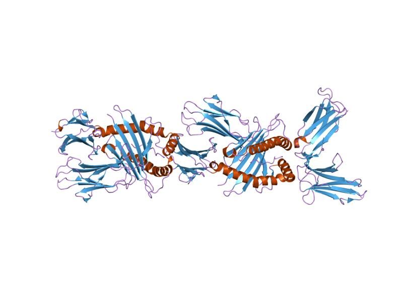 File:PDB 1im9 EBI.jpg