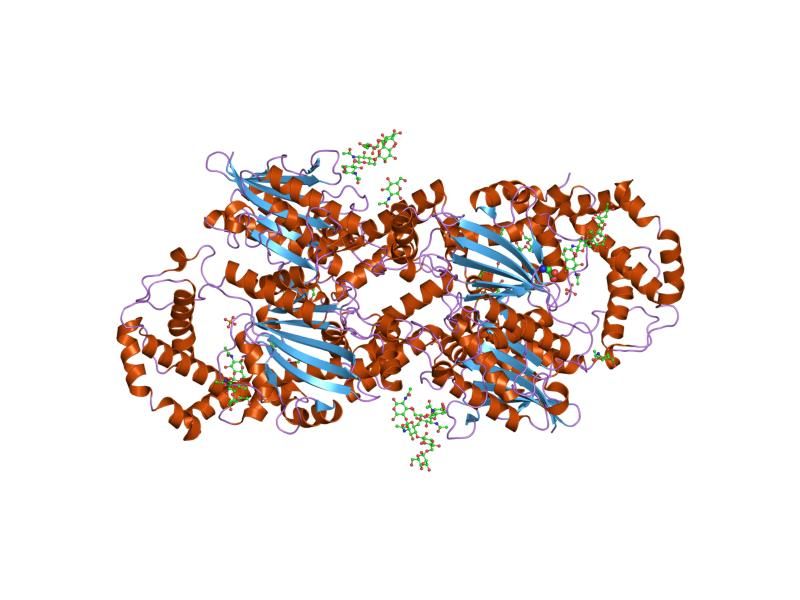 File:PDB 1nd6 EBI.jpg