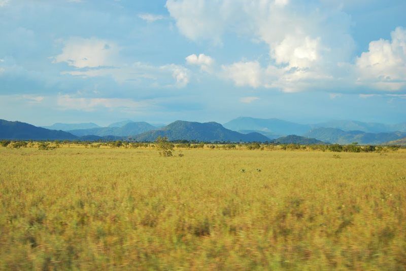 File:Savanas de Roraima.jpg