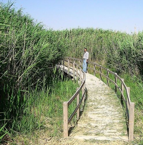 File:Shaumarinaturereserve.jpg