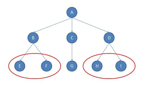 File:Structural Equivalence.jpg