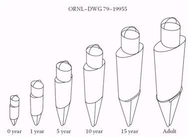 File:Stylized Phantom - Various Ages.jpg