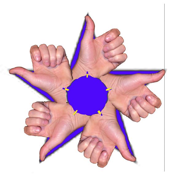 File:BarnstarThumbsUp.jpg