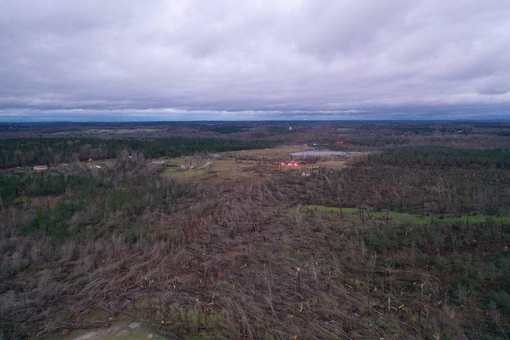 File:Beauregard Tornado Tree Damage.jpg