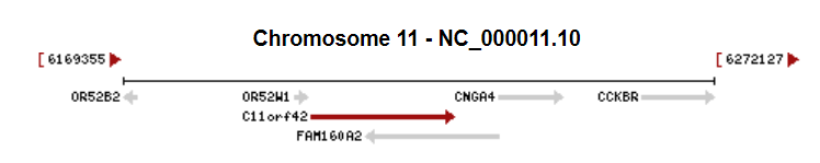 File:C11orf42 direction.png