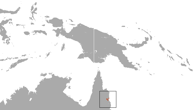 File:Cinereus Ringtail Possum area.png