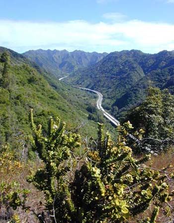 File:H3 viaduct Halawa.jpg