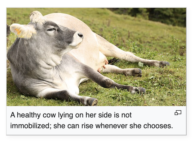 File:Healthy Cow screenshot.png